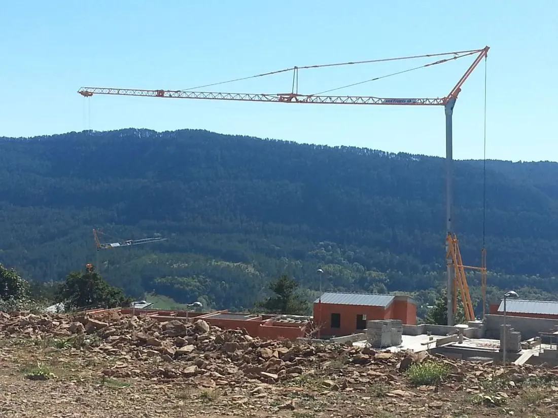 Grue Potain IGO 50